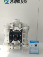 Pompe AODD en polypropylène haute efficacité 1'' S1FB3P2PPUS000 avec diaphragme en PTFE, résistante à la corrosion, auto-amorçante, industrielle