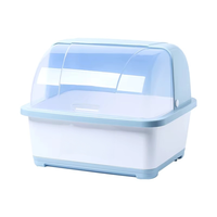 Égouttoir de cuisine à double niveau pour vaisselle et bols, en plastique, organisateur de séchage à 2 couches, gain de place sur comptoir, rangement d'ustensiles pour évier