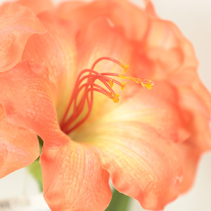 Planta de árbol bonsái única, hojas verdes de oficina falsas para interiores con flores rojas, planta de flores artificiales Clivia - Product Image 4
