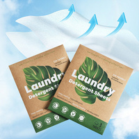 Feuilles de Lessive Biodégradables Sans Parfum et Sans Liquide, Écologiques, Marque Personnalisée OEM, avec Format Voyage