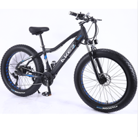 Nouveau design, livraison rapide, cadre en alliage d'aluminium, 21 vitesses, frein à disque, vélo de route électrique 48V, Fat Bike pour adulte