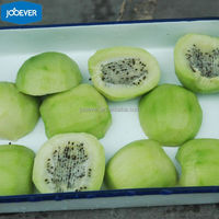 IQF Diepvries Kiwi Ballen Groothandel Bulk Diepvries Kiwi Fruit BRC HACCP ISO Gecertificeerde Kiwi Ballen voor Smoothies Desserts Fabrieksprijs