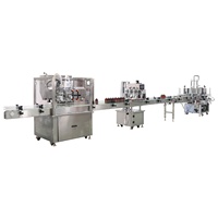 Machine de remplissage et de bouchage automatique PLC pour liquides et pâtes (crème, huile, miel, sauces, shampoing, boissons) en bouteilles/bocaux/canettes en plastique