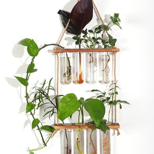 Seeking Excellence Wall Hanging Hydroponic Plant Container Wooden Rack With Glass Test Tubes <b>For</b> Indoor Green <b>Decor</b> - Product Image 1