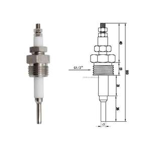 مجس مرجل للتحكم في المياه من الفولاذ المقاوم للصدأ PTFE والنحاس PTFE ومستوى السائل - Product Image 2
