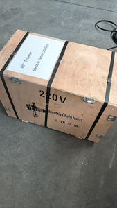 Kualitas CE kerekan listrik 100kg 200kg 500kg 220v/380v Lift konstruksi dengan harga rendah untuk dijual - Product Image 6