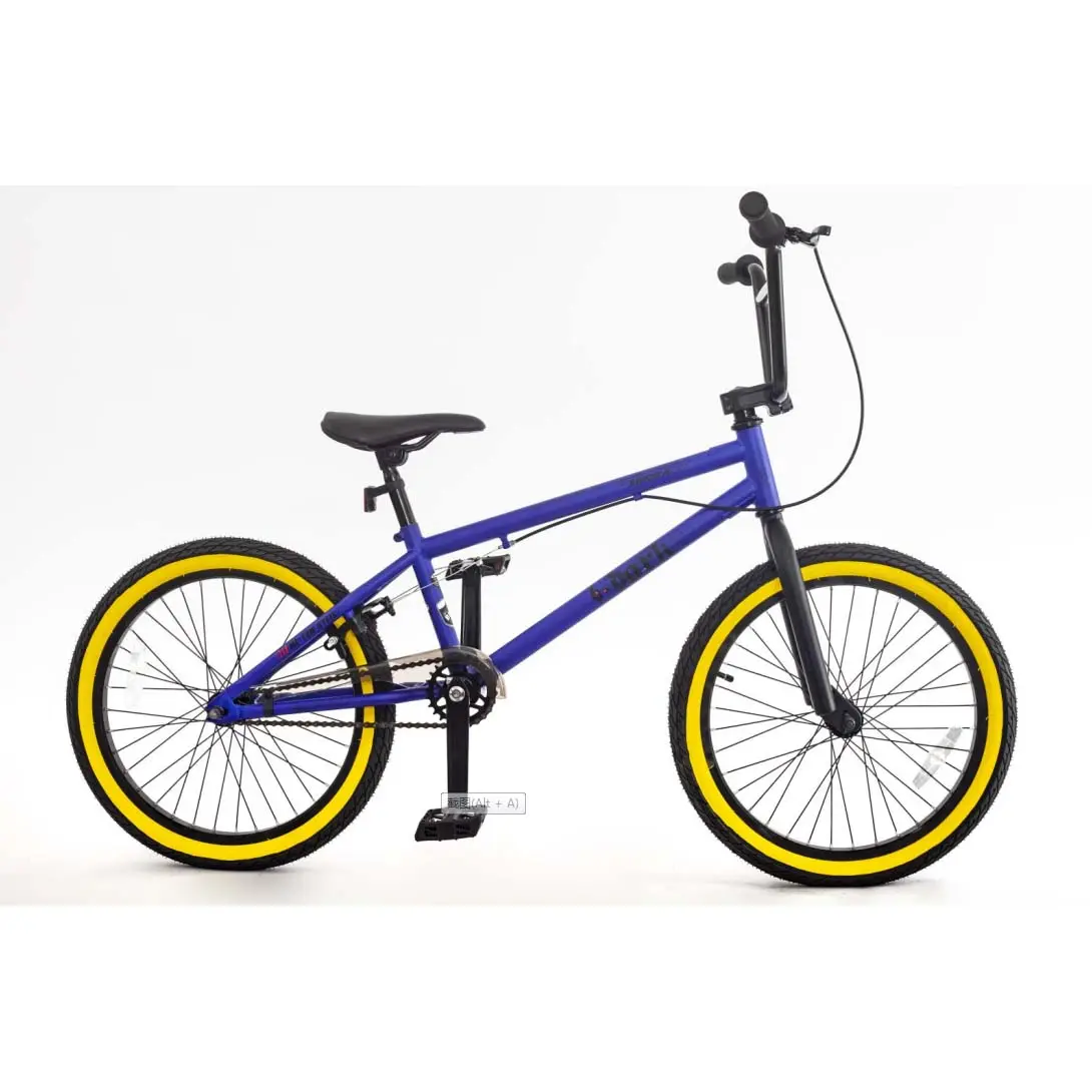 OEM sepeda gunung BMX anak-anak, sepeda BMX warna 20 inci kustom untuk anak-anak