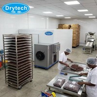 Energiezuinige biltong-dehydratiemachine warmtepompdroger met COC-certificaat 5,5 kW 300 kg capaciteit 1 jaar garantie