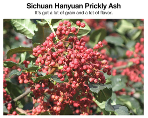 Китайская медицина, жиросжигающий патч, наклейки на пупок, средства для похудения, похудение, пупок, тонкий патч - Product Image 3