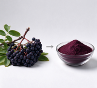 Poudre d'extrait de baie de sureau (Rowan Berry Extract Powder) 10:1, extrait de Sorbus Aucuparia, poudre de baie de sureau, ingrédient de complément alimentaire, vente en gros