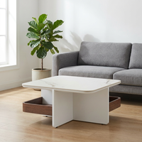 Table basse nordique à bords biseautés avec rangement intégré, finition noyer foncé, écologique et durable, mobilier de salon nordique