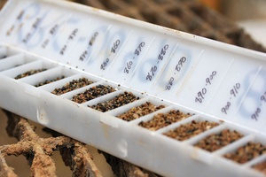 20 ngăn tiêm đúc nhựa Rock chip Khay cho cường độ cao mỏ Bộ sưu tập & mẫu lưu trữ bao bì - Product Image 6