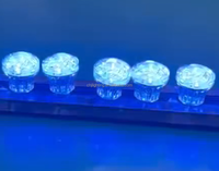 Lumières LED pour parcs d'attractions et carnavals, étanches IP67, CHJ-4514G-E14 AC24V RGBW PC E14 Cabochon Chameleon Pixel Point Lights