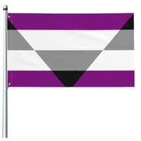 Drapeau personnalisé 100% polyester 3X5 pieds Dm Girl Pan Pride avec deux œillets