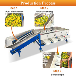 Máquina Clasificadora Automática MY para Dátiles, Aceitunas Verdes, Cebollas, Patatas, Zanahorias y Fresas por Tamaño - <span class=keywords><strong>Precio</strong></span> - Product Image 3