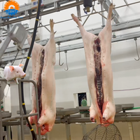 Équipement d'abattage de porcs entièrement automatique en acier inoxydable avec roulement de moteur pour ligne d'abattage et abattoir