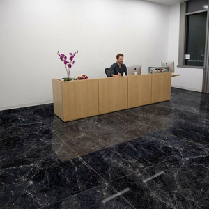 Carreaux de sol en porcelaine polie noire Vistaar Argos Nero 1000x1000mm (100x100cm) GVT en vrac - Product Image 1