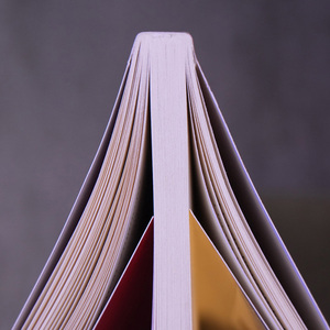 Impresión de Libros de Texto con Encuadernación Perfecta, Libro de Enseñanza de Geografía de Tapa Blanda, Impresión Personalizada - Product Image 4