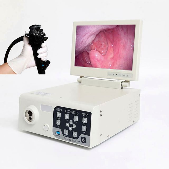 High Quality Portable Veterinary Endoscope Gastrointestinal Endoscopy Camera for Pet Clinics and Animal Hospitals