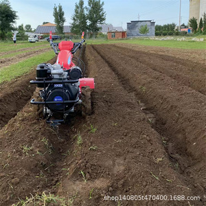 Cultivateur à dents arrière 12 pouces, moteur à essence 80 cc 2,5 ch pour utilisation en verger et en serre - Product Image 5