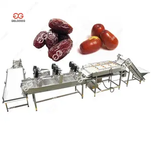 Palm Dates Jujube Machines de traitement Palm Dates Lavage Système de tri Machine Frais Khadrawi Dates Machine de nettoyage