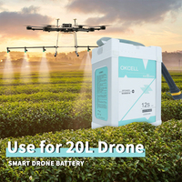 Batterie de drone intelligente 12S 22000mah 44.4V, batterie au lithium rechargeable pour accessoires de drone agricole 20L
