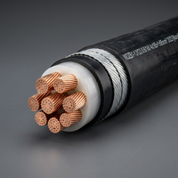 Cable de Alimentación Armado con Alambre de Acero, Aislado con XLPE Retardante de Llama Clase B1, Cu/XLPE/SWA/LSZH, 0.6/1kV, Cobre OFC