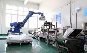 Yüksek Kaliteli Gıda Sınıfı Trikalciyum Sitrat Üretici Fiyatı - Product Image 4