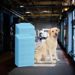 High Quality Reusable Small Pet Pee Pads for Puppy Training Custom SAP <b>Weight</b> Non-Tearable Plastic Paper Material <b>Free</b> Sample - Product Image 4