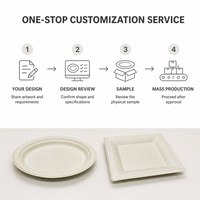Assiette carrée jetable biodégradable de qualité alimentaire, écologique, pour le pain, les biscuits, les desserts et les fêtes