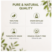 Huile essentielle de vétiver en gros |   Prix d'usine pour la base de parfum, le fixateur et la fragrance