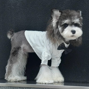 Corbata de lazo para mascotas, camisa blanca para perro, Bichón Frisé, Schnauzer, Maltés, ropa pequeña, traje, vestido, manga corta de verano - Product Image 4