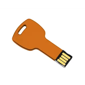 Custom logo Metal USB Key Shaped Pen Drive 1GB 2GB 4GB 8GB 16GB 32GB 64GB 128GB Support 2.0 3.0 Flash Memory USB Stick