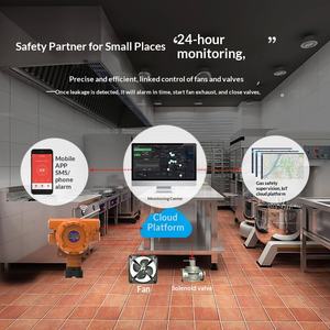 <span class=keywords><strong>Detector</strong></span> de Gás Combustível de Alta Precisão YD-CXL <span class=keywords><strong>Detector</strong></span> de Vazamento de Gás <span class=keywords><strong>Natural</strong></span> Independente para Estações de Gás Liquefeito - Product Image 3