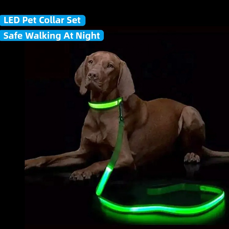 Wholesale Night Safety USB Rechargeable Luminous Flashing Adjustable Dog Leash and Collar with LED -