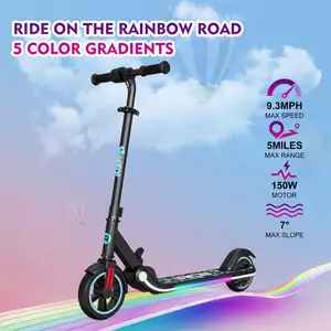 Customized OEM ODM Electric Foldable R11two Wheels Adult Cheap Smart High Quality Self Balancing Electric Scooter