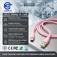 Pabrik LUNG KAY Grosir Kabel Silikon Tipe C 3A 2.0 USB a ke c Kabel Data 5v2.4a Kabel Pengisian Cepat USB untuk Ponsel