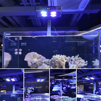Lampu LED Multi-warna 52W A052 untuk Akuarium Terumbu Karang Laut & Tangki Ikan Air Asin CRI 90 IP65 Rating Putih Hangat Dapat Diredupkan