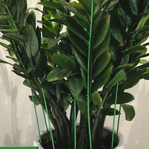 Marco de soporte para plantas de orquídeas, enrejados para plantas, soporte de escalada, maceta para flores, enredadera - Product Image 5