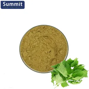 Food Grade Nettle Leaf Extract Nettle Root Extract Powder Nettle Extract