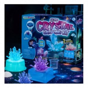 Boîte d'expériences scientifiques professionnelles avec becquets et tubes, matériaux sûrs pour l'apprentissage éducatif des enfants en STEM et en chimie, jouet amusant - Product Image 1
