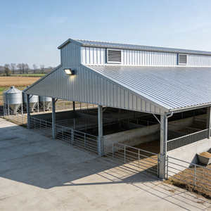 Gallinero Comercial de Diseño Moderno, Estructura de Acero Económica, Nave para Granja Avícola en Venta - Product Image 2