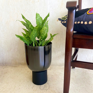 L 23 x W 23 x H 35 cm Modern Black Metal Flower Pot Minimalist Design Indoor Plant Planter Powder Coated Finish - Product Image 1