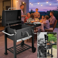 Parrilla de Carbón de Diseño Moderno, Tamaño Familiar, Ahumador, Asador, Horno de Acero Inoxidable, Portátil para Barbacoa al Aire Libre, Reuniones Familiares