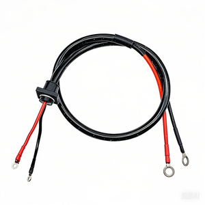 Harness Kabel Pengisian Baterai 2-Pin Kustom dengan Terminal Cincin dan Konektor Panel Tahan Air untuk Sepeda Motor dan Mobil - Product Image 1
