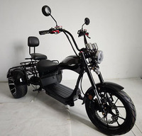 Nuevo Triciclo Eléctrico de 3 Ruedas Loyal, Scooter con GPS, Resistente al Agua, Plegable, Batería de Litio, Autonomía de 60-100 km, Citycoco