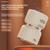 Nouveau Masseur Facial Électrique Portable à Batterie pour Moxibustion et Gua Sha, avec Importation de Fumée de Moxa et Pierre Bian