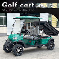 Carrito de Golf de 2 Pasajeros Equipado con Batería de Plomo-Ácido, Plataforma de Carga Grande, Vehículo de Doble Uso para Pasajeros y Carga, Ideal para Villas y Parques