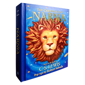 Tùy chỉnh in ấn bìa cứng Tiếng Anh giấy ảnh Tiếng Anh Pop Up Cuốn sách với dịch vụ in ấn - Product Image 4