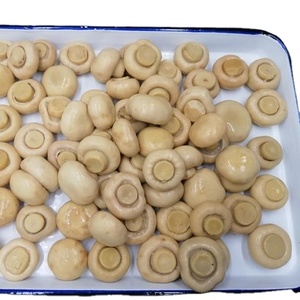 Bảo quản thực phẩm đóng hộp toàn Bộ Nấm từ Trung Quốc - Product Image 5